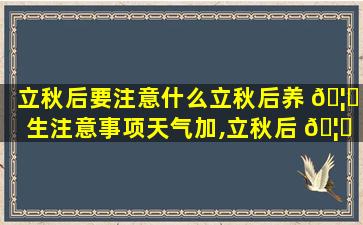 立秋后要注意什么立秋后养 🦈 生注意事项天气加,立秋后 🦆 要注意什么立秋养生小常识有哪些百度经验